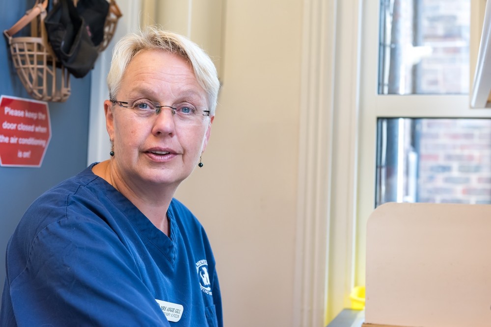 Mewes Vetinary Clinic, Haywards Heath, 2015 James Pike Photography